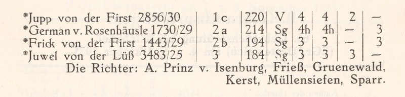 1931 GP Hessen 2